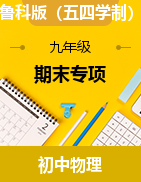 期末專項提升-2024-2025學年魯科版物理九年級上冊