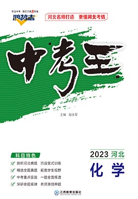 【鸿鹄志·中考王】2023中考化学（河北专用）人教版