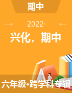 江苏省泰州市兴化市2021-2022学年六年级下学期期中试题