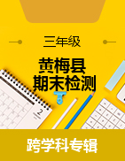 湖北省黄冈市黄梅县2022-2023学年三年级下学期期末质量检测试题