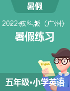 2022年广州教科版五年级下册暑假练习