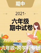 2020-2021学年辽宁省大连市明星小学六年级下学期期中试卷