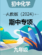 2024-2025學年九年級上冊化學期中專項（人教版2024）