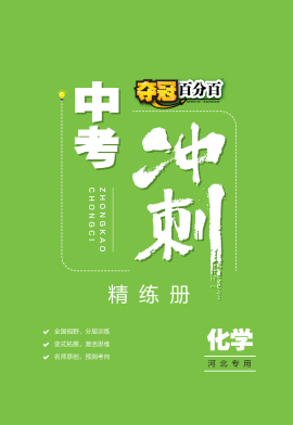 【夺冠百分百】2023河北中考冲刺化学精练册WORD习题