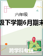 湖南省岳阳市岳阳楼区2022-2023学年六年级下学期6月期末考试试题