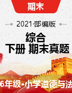 河北省邯郸市永年区综合（道德与法治、科学）4-6年级下学期期末试题 2020-2021学年（含答案）