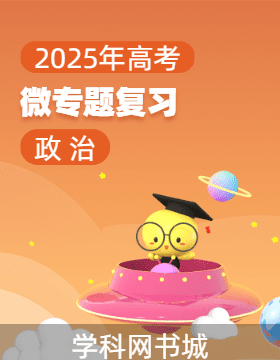 2025年高考政治微專題復(fù)習(xí)