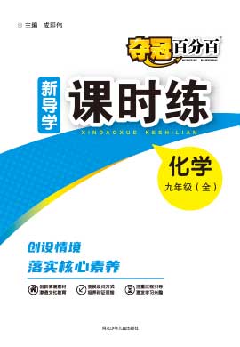 【奪冠百分百】2024-2025學年新教材九年級上冊化學新導學課時練（人教版 2024）河北專版