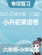 2022-2023學(xué)年度小升初質(zhì)量檢測英語卷(遼師大版三起)