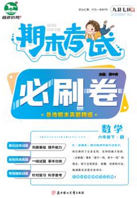 洛阳九县七区2022-2023学年六年级数学下册期末考试必刷卷 (苏教版)