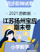 江苏扬州宝应2020年春2,3,4,6年级数学下册期末质量监测（苏教版，含答案）