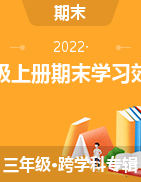 2021-2022学年甘肃省定西市岷县部编版三年级上册期末学习效果评估试卷