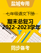 2022-2023学年七年级语文下册备考期末总复习（江苏盐城专用）