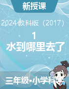 1 水到哪里去了 課件+教學設計-2024-2025學年科學三年級上冊教科版