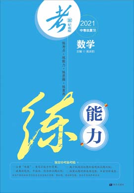 【考出好成績(jī)】2021中考數(shù)學(xué)總復(fù)習(xí)之練能力課件（課標(biāo)版）