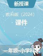 2024-2025學年一年級科學上冊教科版課件