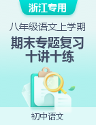 2022-2023學(xué)年八年級(jí)語(yǔ)文上學(xué)期期末專題復(fù)習(xí)十講十練（浙江專用）