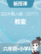 2024-2025學年六年級上冊科學教案冀人版