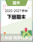 2020-2021学年四川省宜宾市兴文县六年级下册期末考试试卷