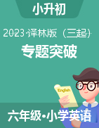 2022-2023学年江苏地区小升初专题突破试卷 译林版（三起）