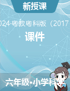 2023-2024學(xué)年科學(xué)六年級(jí)下冊(cè)課件（粵教粵科版）