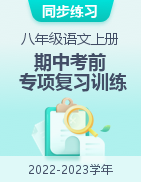 2022-2023學(xué)年八年級語文上學(xué)期期中考前復(fù)習(xí)專項訓(xùn)練