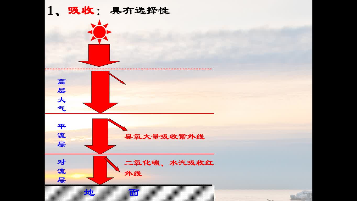 11607915.jpg