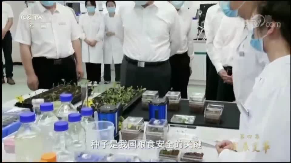 中国各行业创新发展 视频