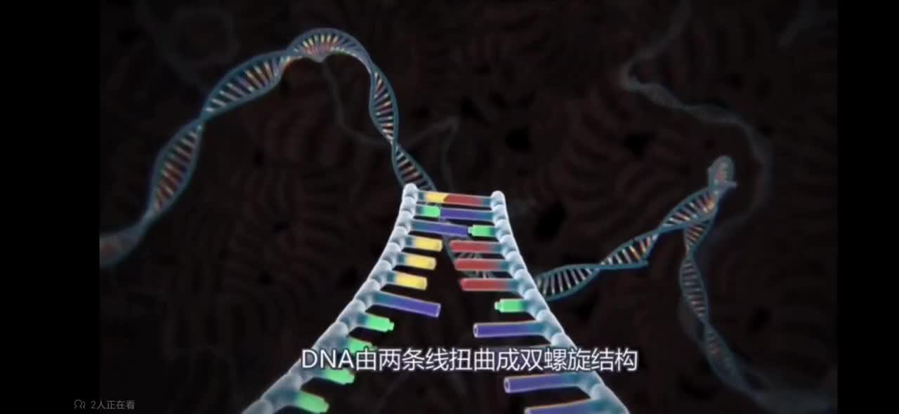 基因编辑技术mp4-2023-2024学年高二下学期生物人教版（2019）选择性必修3