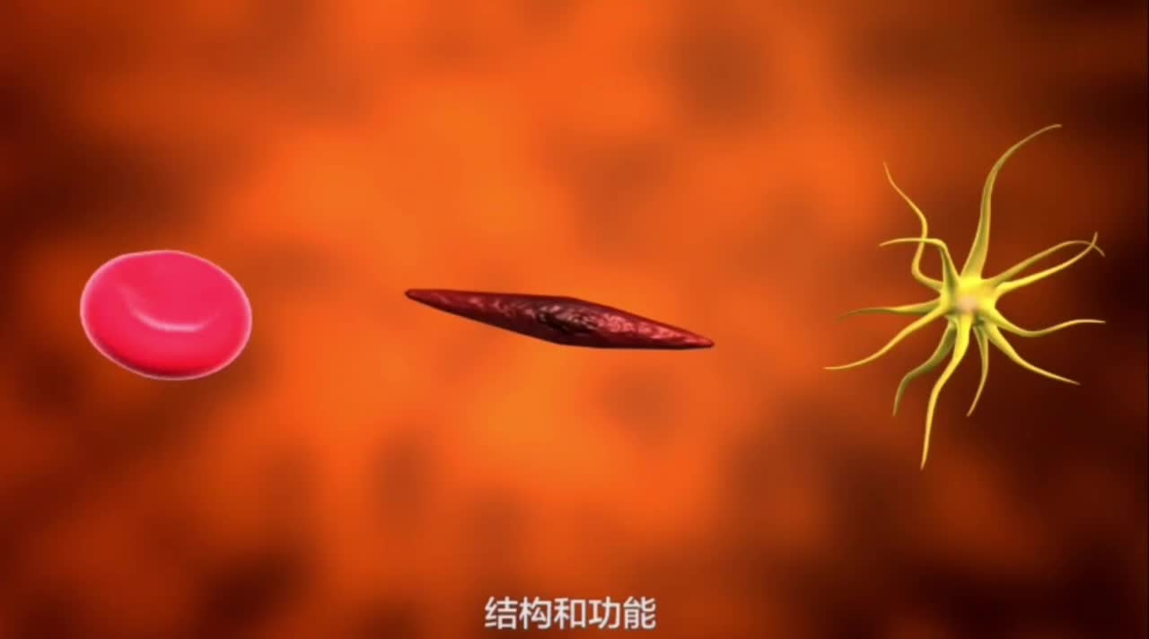 细胞分化的实质视频2026-2027学年高一上学期生物人教版必修1